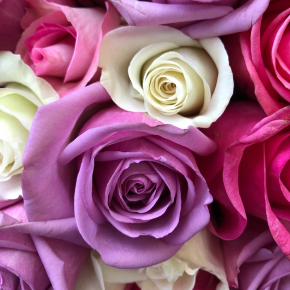 Meet your Posher, CKru11.  😊❤️👋🏻 - Picture 3 of 5